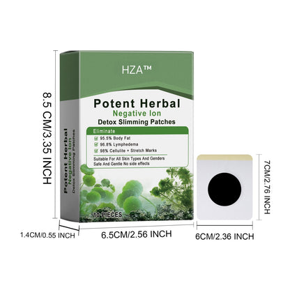 HZA™ Potent Herbal Negative lon Detox Slimming Patch (Limited Time Discount 🔥 Last Day)